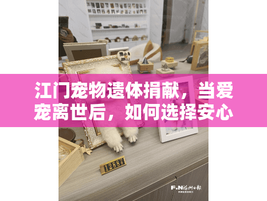 江门宠物遗体捐献，当爱宠离世后，如何选择安心且有意义的告别方式？
