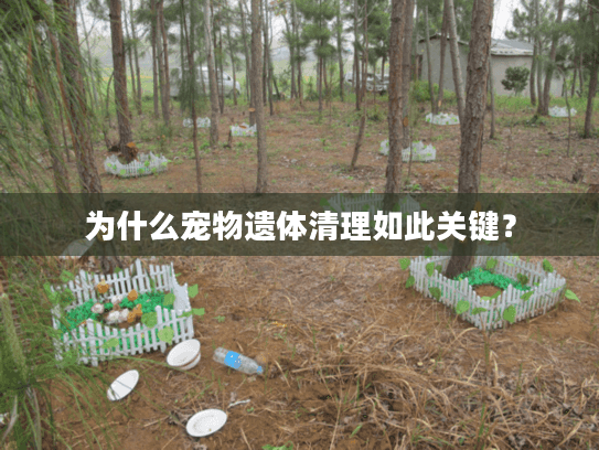 为什么宠物遗体清理如此关键？