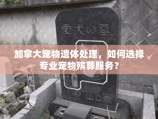 加拿大宠物遗体处理，如何选择专业宠物殡葬服务？