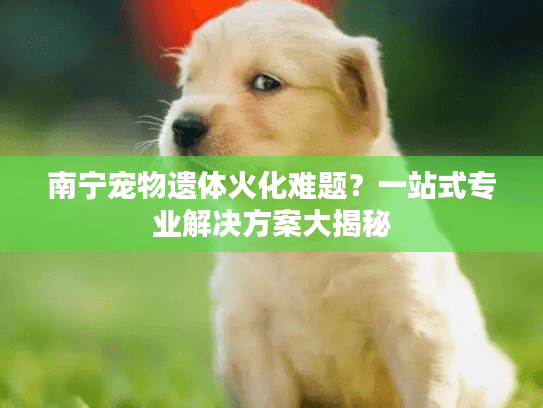 南宁宠物遗体火化难题？一站式专业解决方案大揭秘