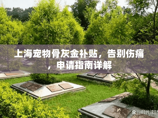 上海宠物骨灰金补贴，告别伤痛，申请指南详解