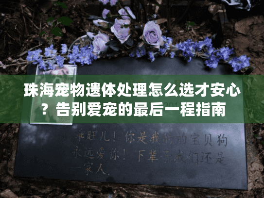珠海宠物遗体处理怎么选才安心？告别爱宠的最后一程指南
