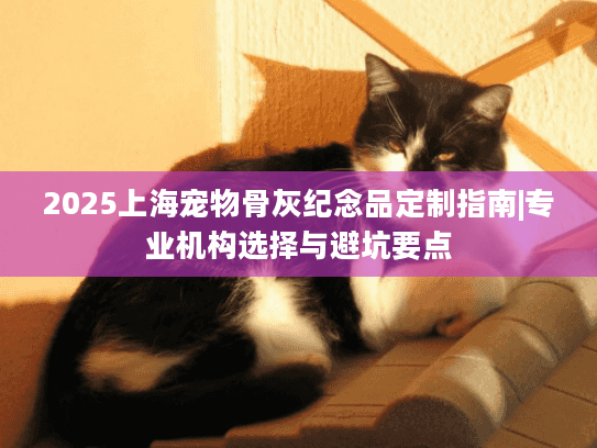 2025上海宠物骨灰纪念品定制指南|专业机构选择与避坑要点
