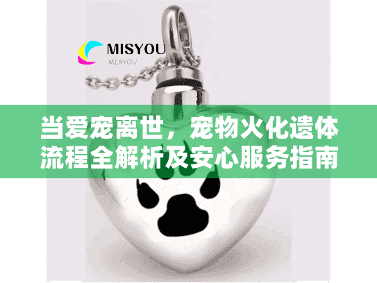当爱宠离世，宠物火化遗体流程全解析及安心服务指南