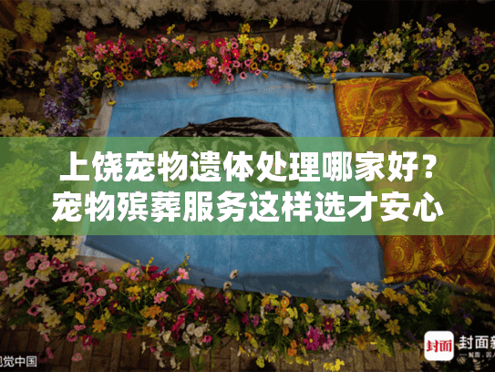 上饶宠物遗体处理哪家好？宠物殡葬服务这样选才安心