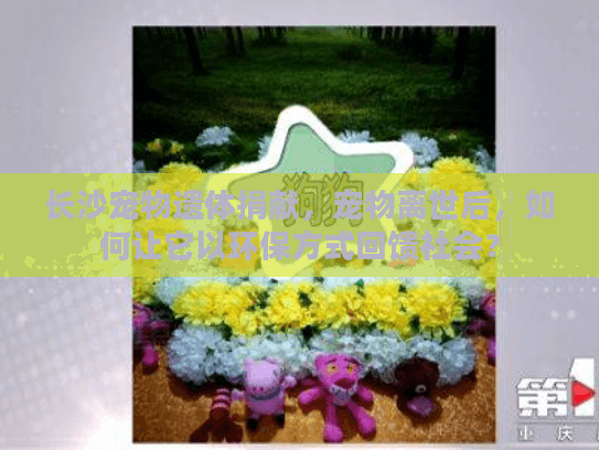 长沙宠物遗体捐献，宠物离世后，如何让它以环保方式回馈社会？