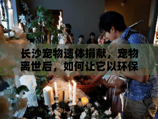 长沙宠物遗体捐献，宠物离世后，如何让它以环保方式回馈社会？