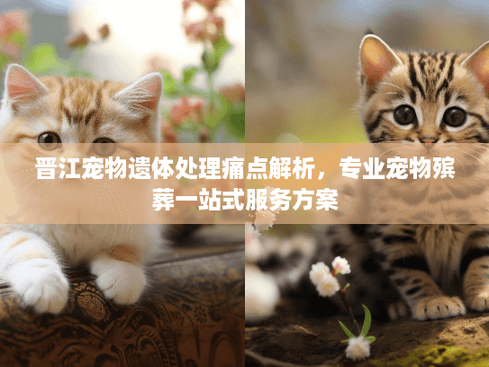 晋江宠物遗体处理痛点解析，专业宠物殡葬一站式服务方案