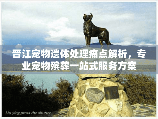 晋江宠物遗体处理痛点解析，专业宠物殡葬一站式服务方案