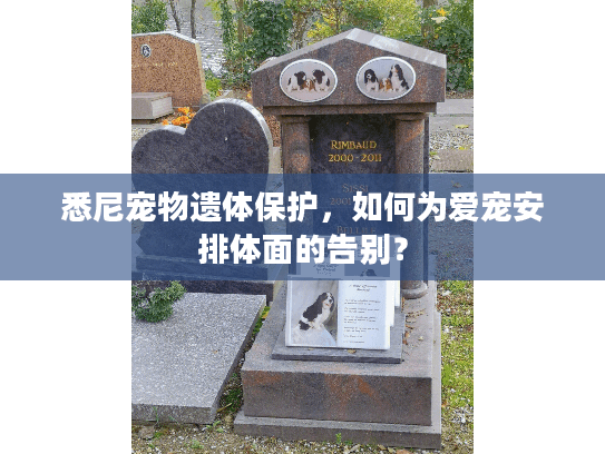 悉尼宠物遗体保护，如何为爱宠安排体面的告别？