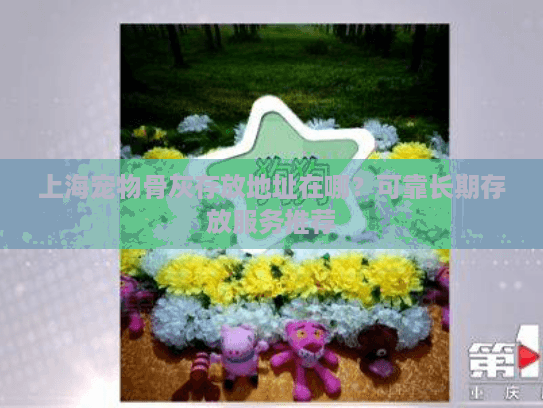 上海宠物骨灰存放地址在哪？可靠长期存放服务推荐