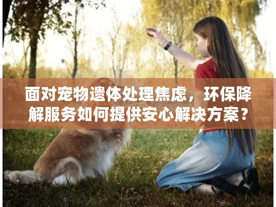 面对宠物遗体处理焦虑，环保降解服务如何提供安心解决方案？