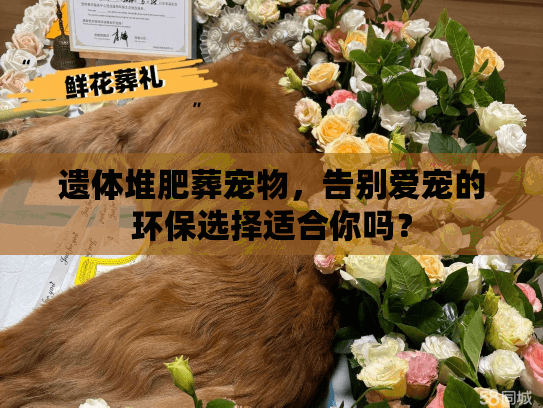 遗体堆肥葬宠物，告别爱宠的环保选择适合你吗？