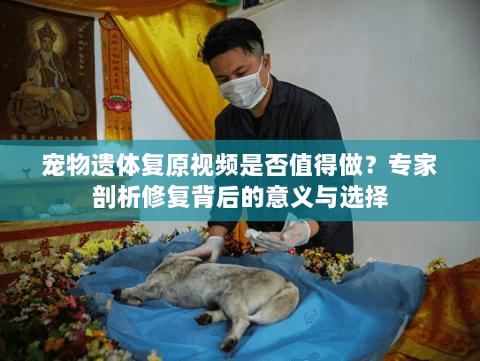 宠物遗体复原视频是否值得做？专家剖析修复背后的意义与选择