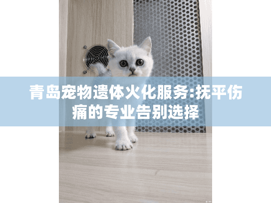 青岛宠物遗体火化服务:抚平伤痛的专业告别选择