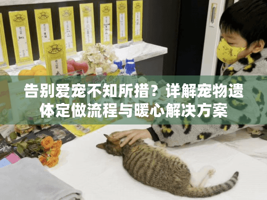 告别爱宠不知所措？详解宠物遗体定做流程与暖心解决方案