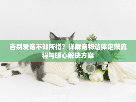 告别爱宠不知所措？详解宠物遗体定做流程与暖心解决方案