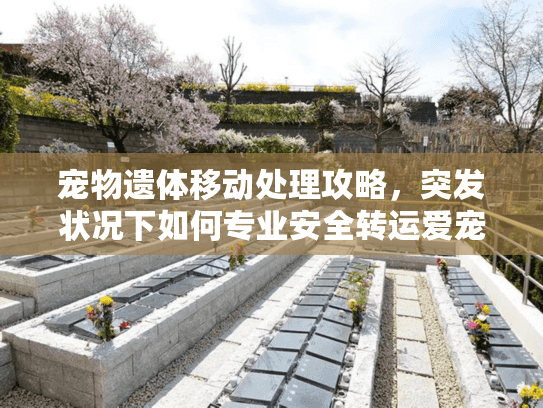 宠物遗体移动处理攻略，突发状况下如何专业安全转运爱宠遗体？
