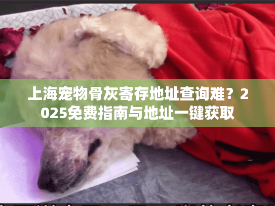 上海宠物骨灰寄存地址查询难？2025免费指南与地址一键获取