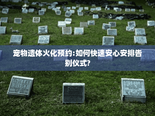 宠物遗体火化预约:如何快速安心安排告别仪式?
