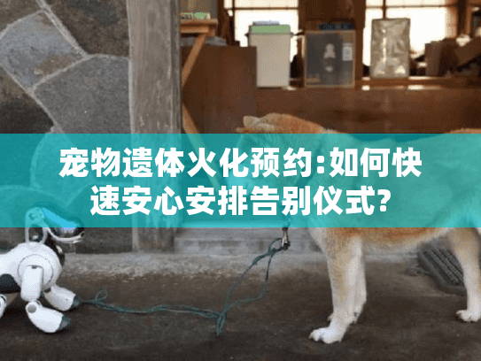 宠物遗体火化预约:如何快速安心安排告别仪式?