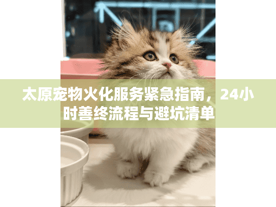 太原宠物火化服务紧急指南，24小时善终流程与避坑清单