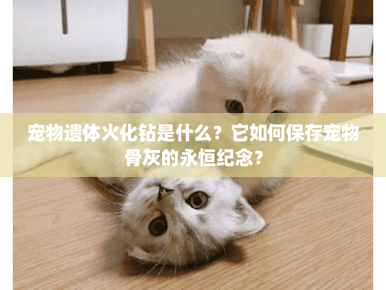 宠物遗体火化钻是什么？它如何保存宠物骨灰的永恒纪念？