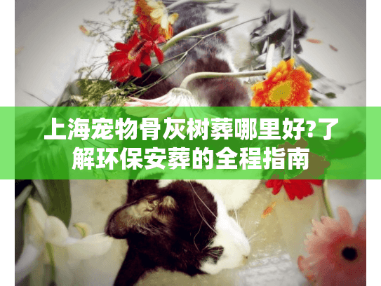 上海宠物骨灰树葬哪里好?了解环保安葬的全程指南