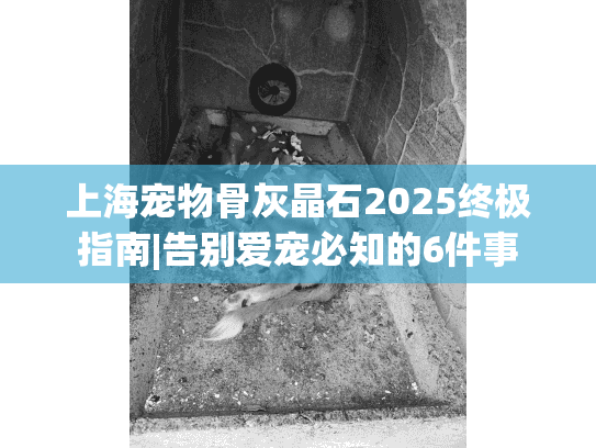 上海宠物骨灰晶石2025终极指南|告别爱宠必知的6件事
