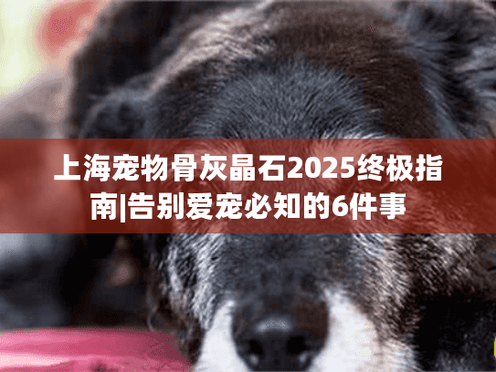 上海宠物骨灰晶石2025终极指南|告别爱宠必知的6件事