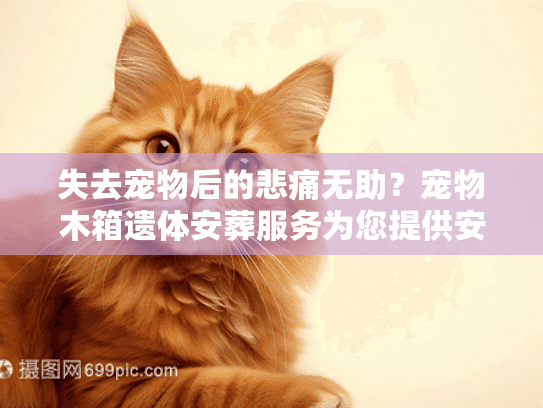失去宠物后的悲痛无助？宠物木箱遗体安葬服务为您提供安心方案