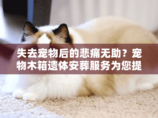失去宠物后的悲痛无助？宠物木箱遗体安葬服务为您提供安心方案