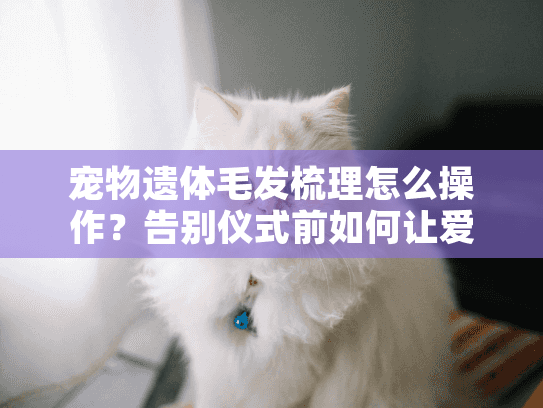 宠物遗体毛发梳理怎么操作？告别仪式前如何让爱宠保持体面
