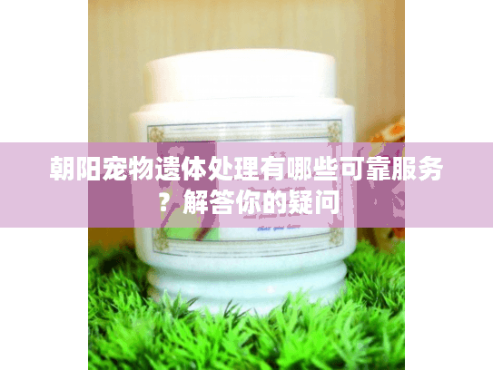 朝阳宠物遗体处理有哪些可靠服务？解答你的疑问