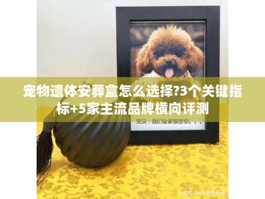 宠物遗体安葬盒怎么选择?3个关键指标+5家主流品牌横向评测