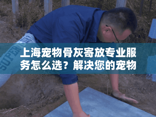 上海宠物骨灰寄放专业服务怎么选？解决您的宠物安息难题