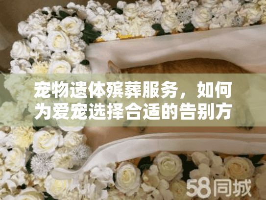 宠物遗体殡葬服务，如何为爱宠选择合适的告别方案?