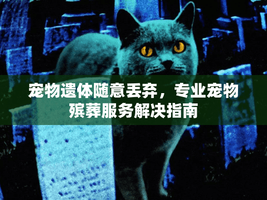 宠物遗体随意丢弃，专业宠物殡葬服务解决指南