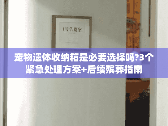 宠物遗体收纳箱是必要选择吗?3个紧急处理方案+后续殡葬指南
