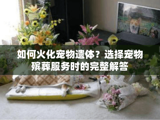 如何火化宠物遗体？选择宠物殡葬服务时的完整解答