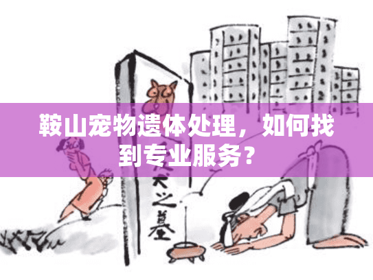 鞍山宠物遗体处理，如何找到专业服务？