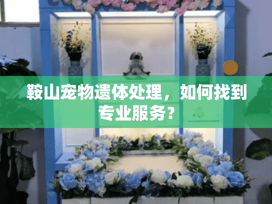 鞍山宠物遗体处理，如何找到专业服务？