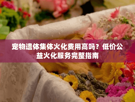 宠物遗体集体火化费用高吗？低价公益火化服务完整指南