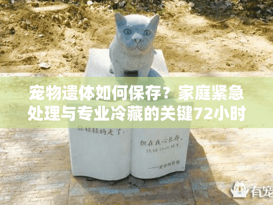 宠物遗体如何保存？家庭紧急处理与专业冷藏的关键72小时