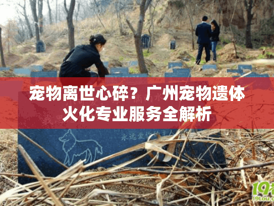宠物离世心碎？广州宠物遗体火化专业服务全解析