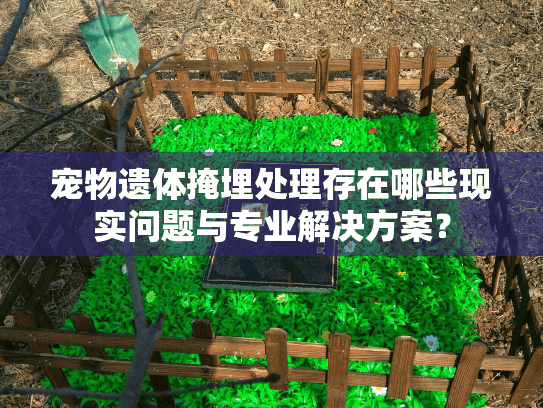 宠物遗体掩埋处理存在哪些现实问题与专业解决方案？