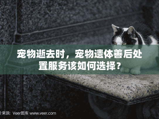 宠物逝去时，宠物遗体善后处置服务该如何选择？