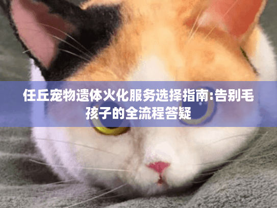 任丘宠物遗体火化服务选择指南:告别毛孩子的全流程答疑