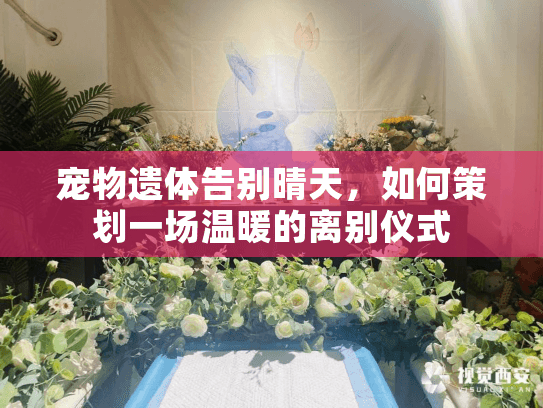 宠物遗体告别晴天，如何策划一场温暖的离别仪式