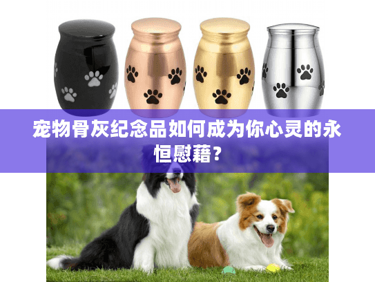 宠物骨灰纪念品如何成为你心灵的永恒慰藉？